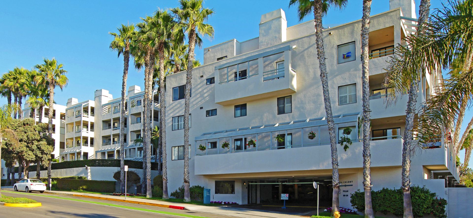 Development Featured Image