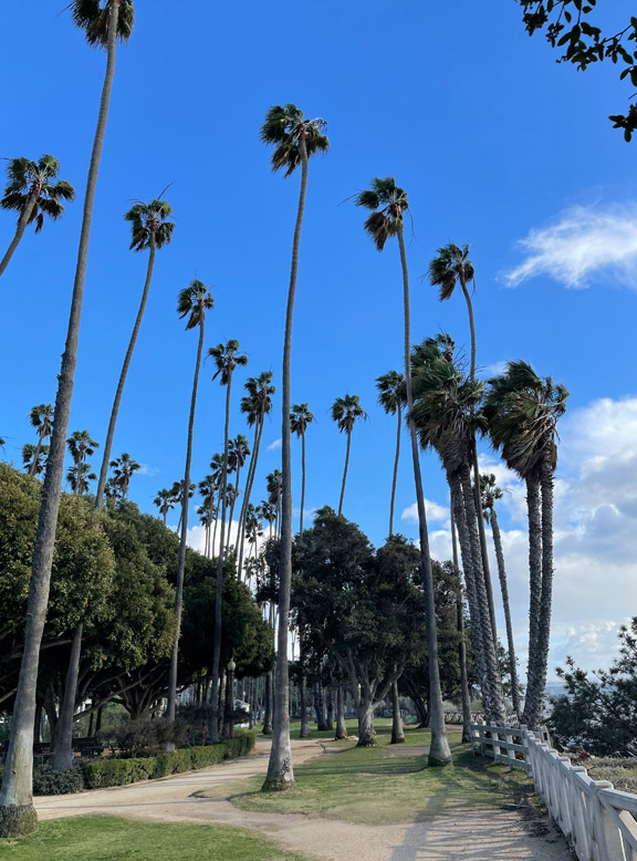 Ocean Avenue Featured Image