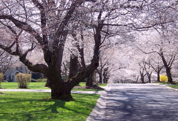 Slide Image #1
