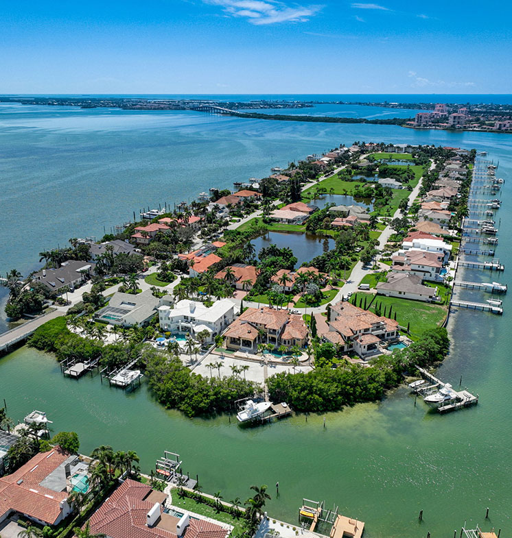 1Palm Realty