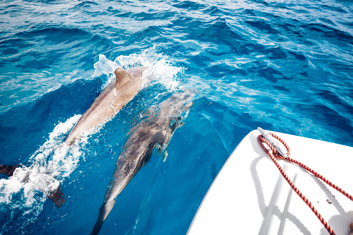 From arts to waterfront: Top attractions that define St. Petersburg living