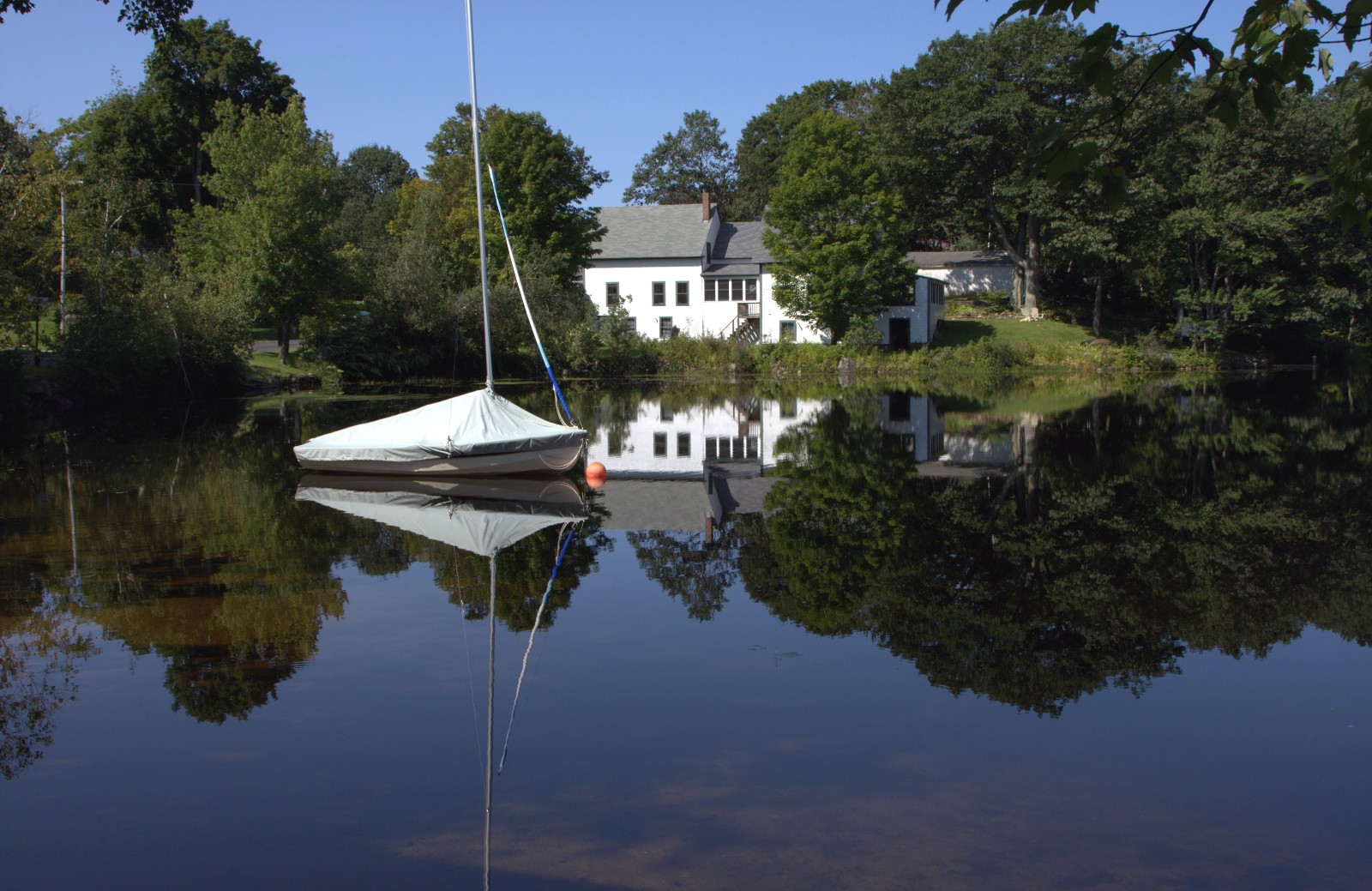 Pastoral Reflections