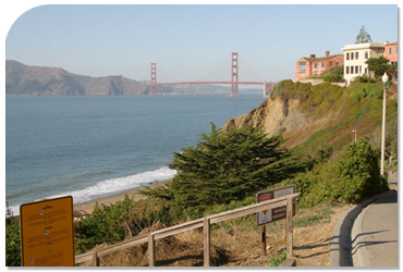 Sea Cliff
