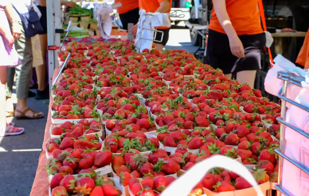 What to Buy at the Birmingham Farmers Market Each Month: A Local Shopper’s Comprehensive Guide