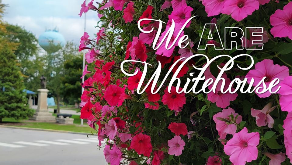 Whitehouse