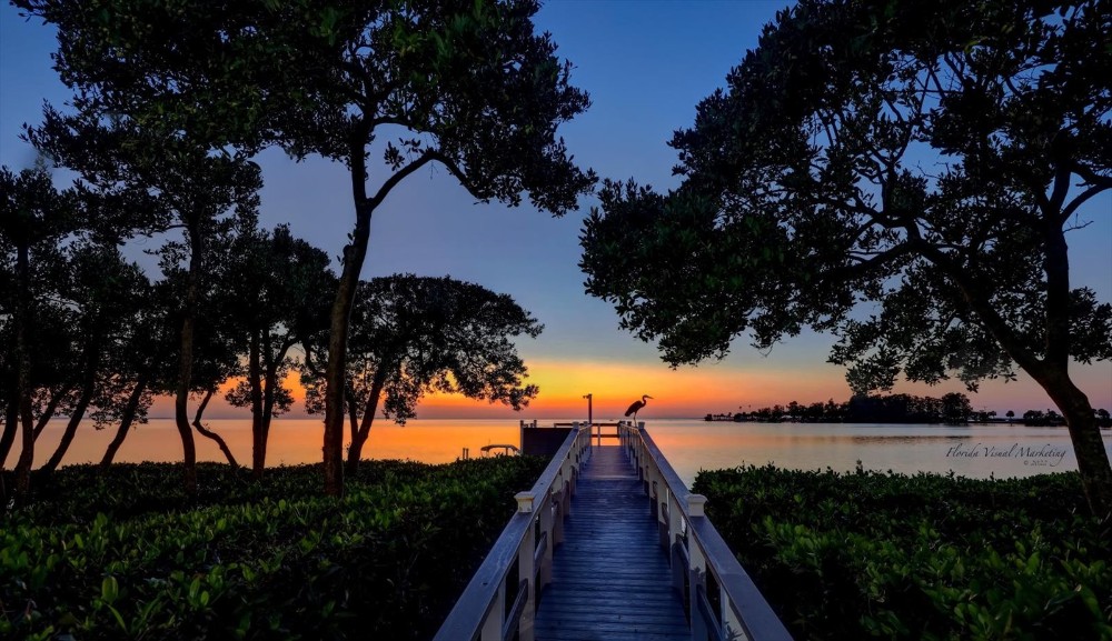 Palm Harbor
