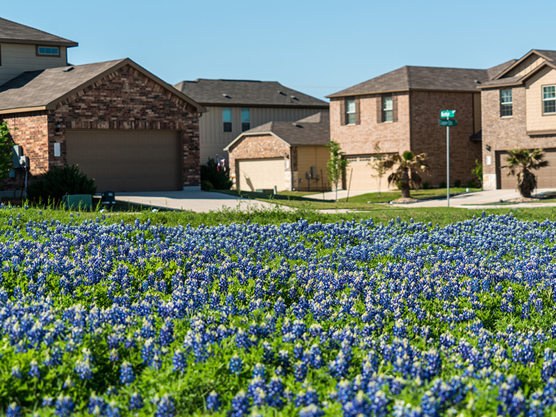 Hutto