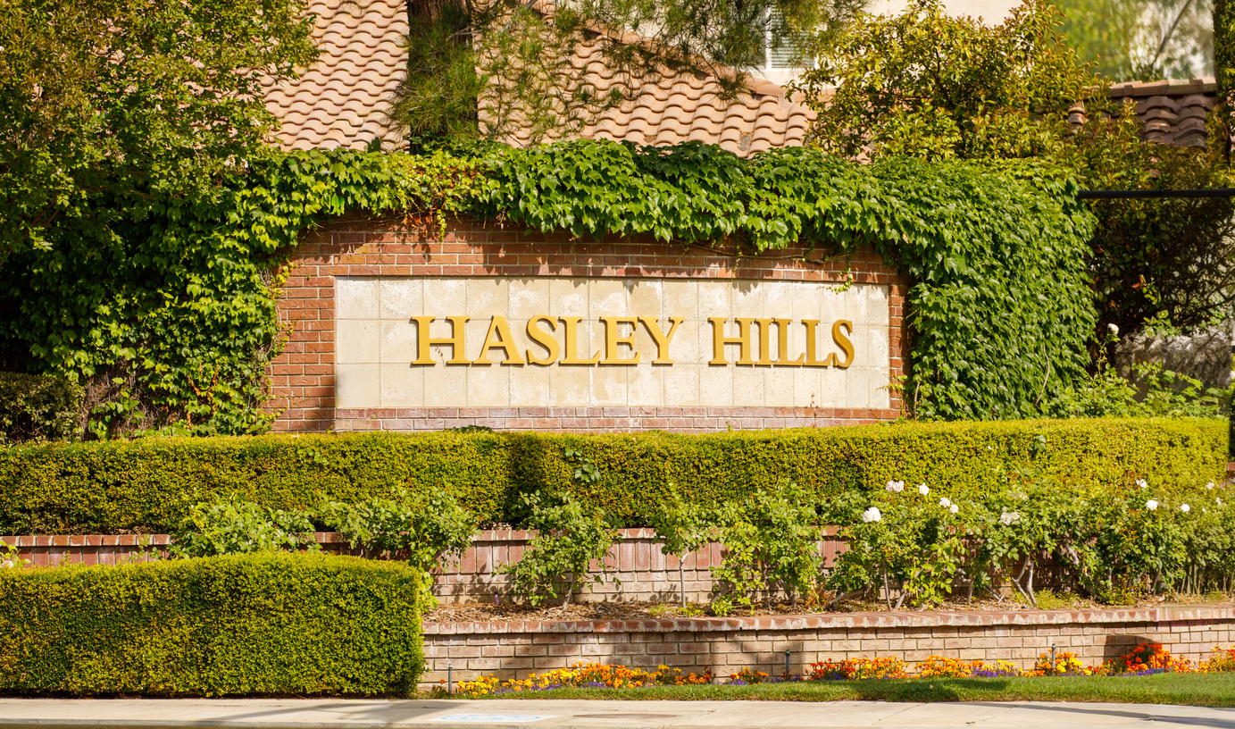 Hasley Hills