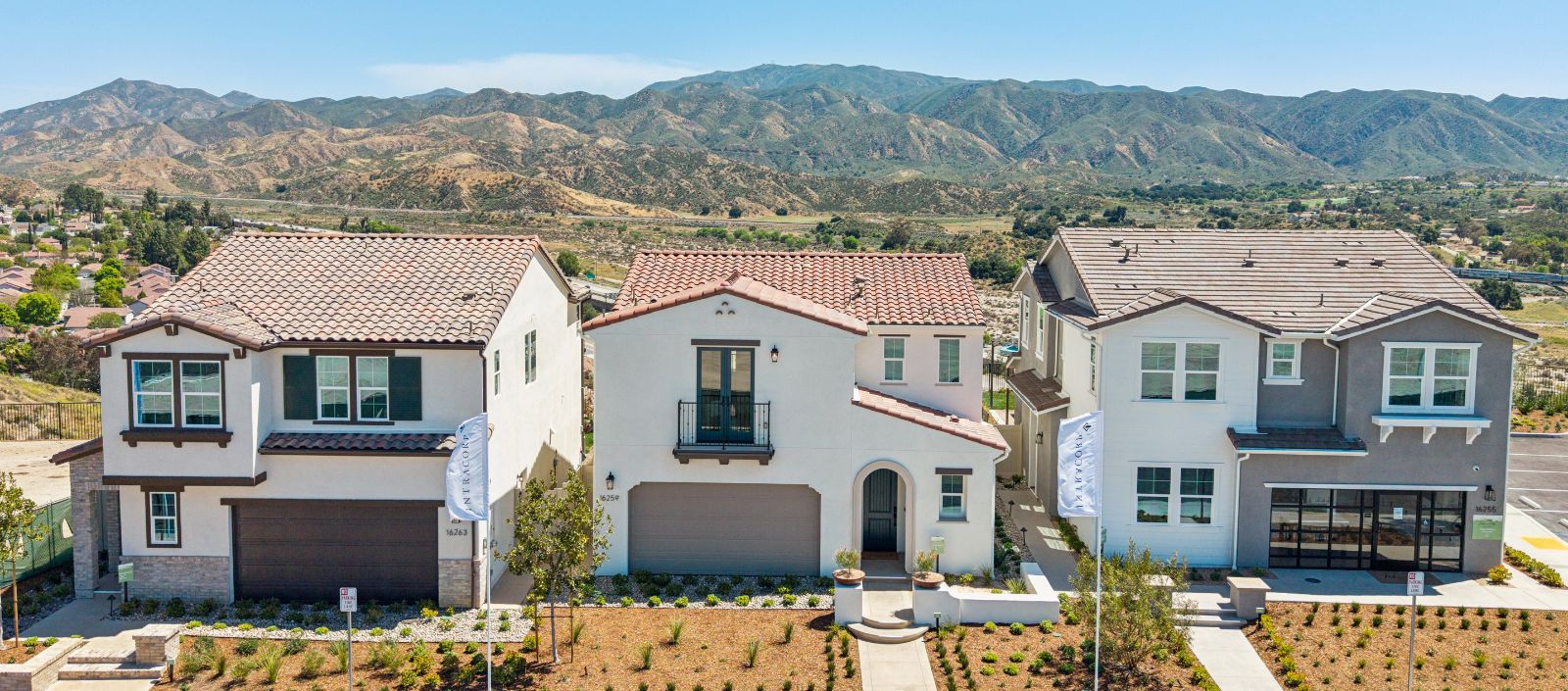 Pelona Hills