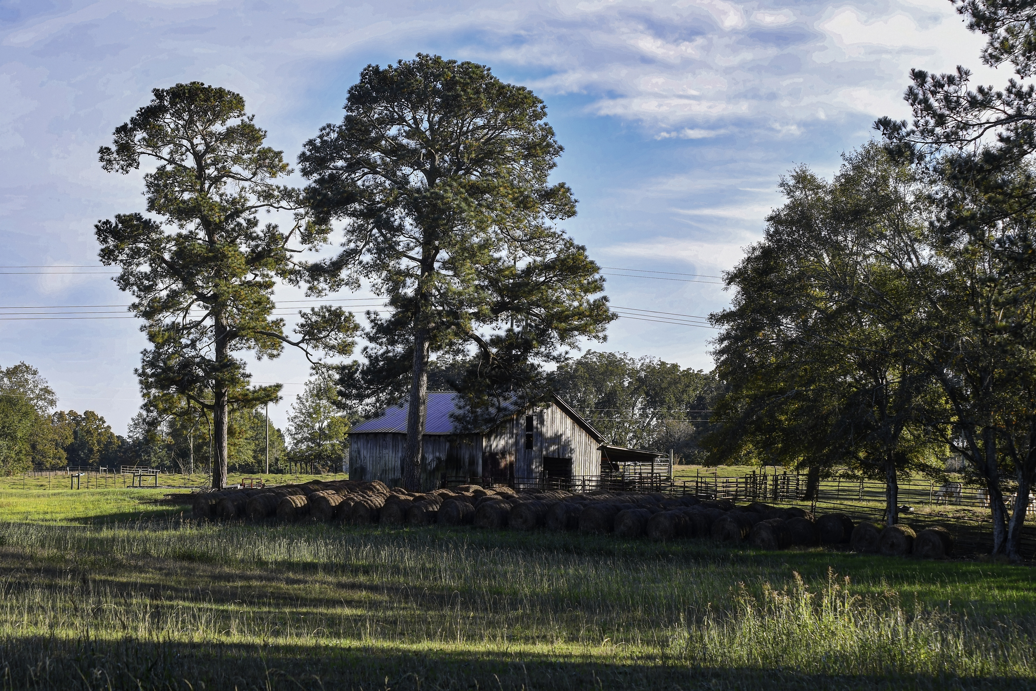 Bucolic Agricultural Landscape