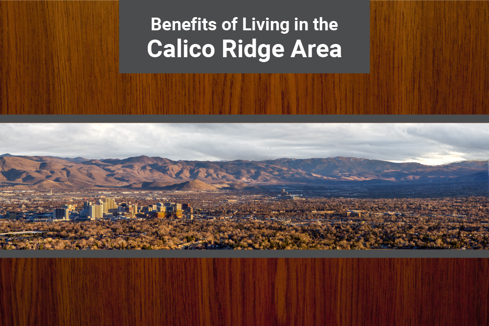 realtor las vegas