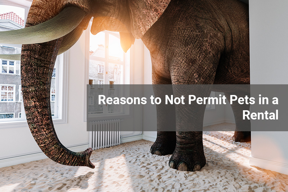 long-term rental