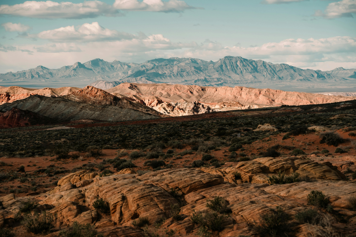 How Much Rent Can I Charge for My Property in Las Vegas?