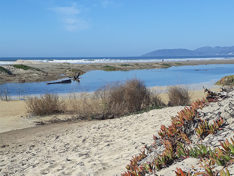 Grover beach