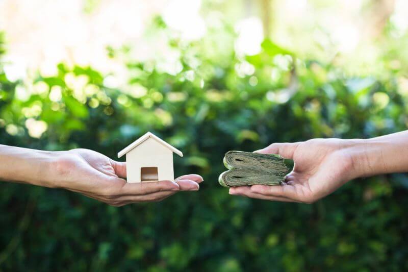 hand holding home model change to money with green nature