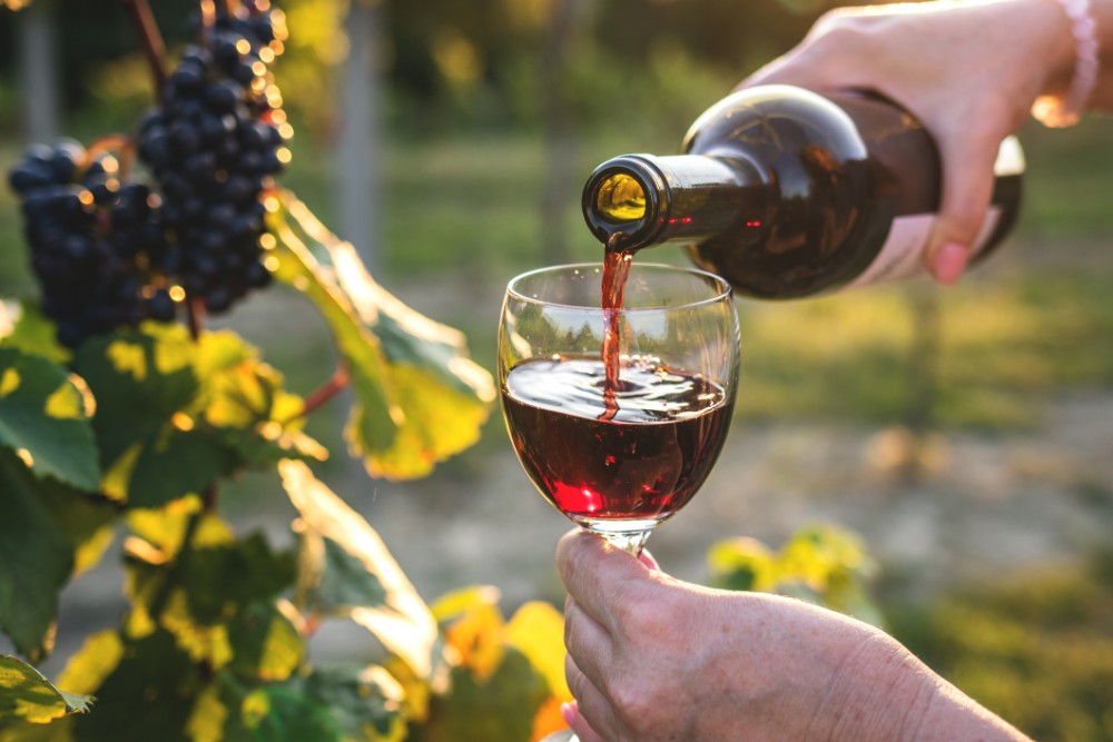 red wine poured in a wine glass at a vine yard