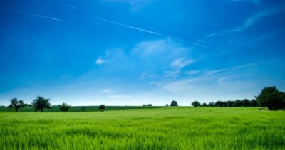 Green Field