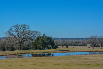 What to know about flood risk and mitigation in Brazos County, TX before buying acreage