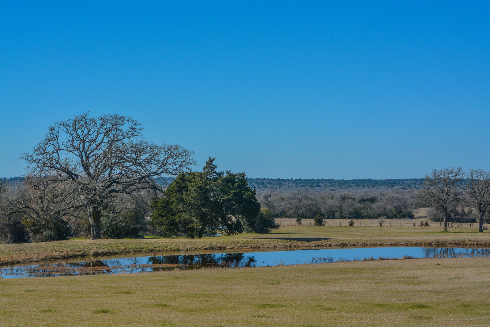 What to know about flood risk and mitigation in Brazos County, TX before buying acreage