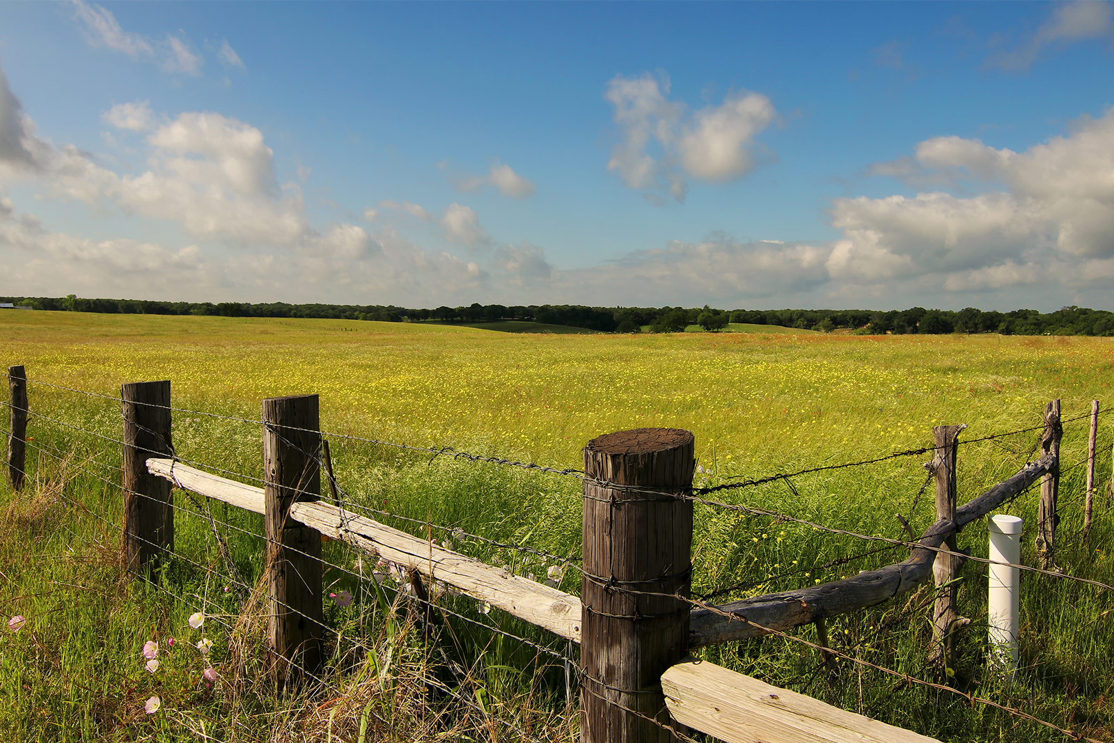 7 Tips when buying land for sale in Brazos County, TX