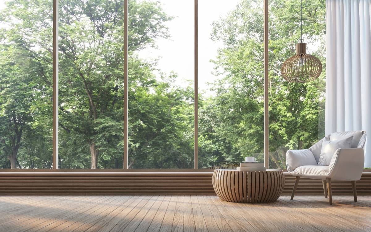 Sunlit room with floor-to-ceiling windows looking onto trees