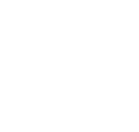 Walker Texas Team