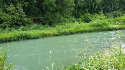 San Marcos River flowing through Martindale Texas with lush green riverbank scenery