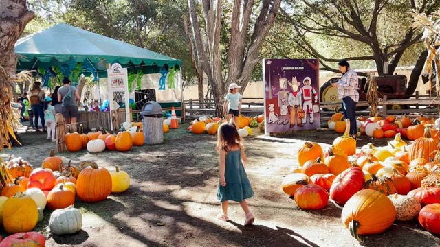 Top Fall 2025 Events in Orange County: Your Ultimate Autumn Guide