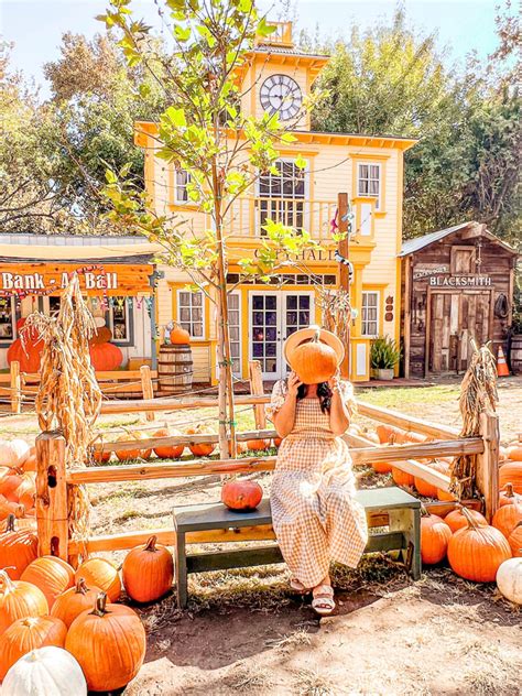Top Fall 2025 Events in Orange County: Your Ultimate Autumn Guide