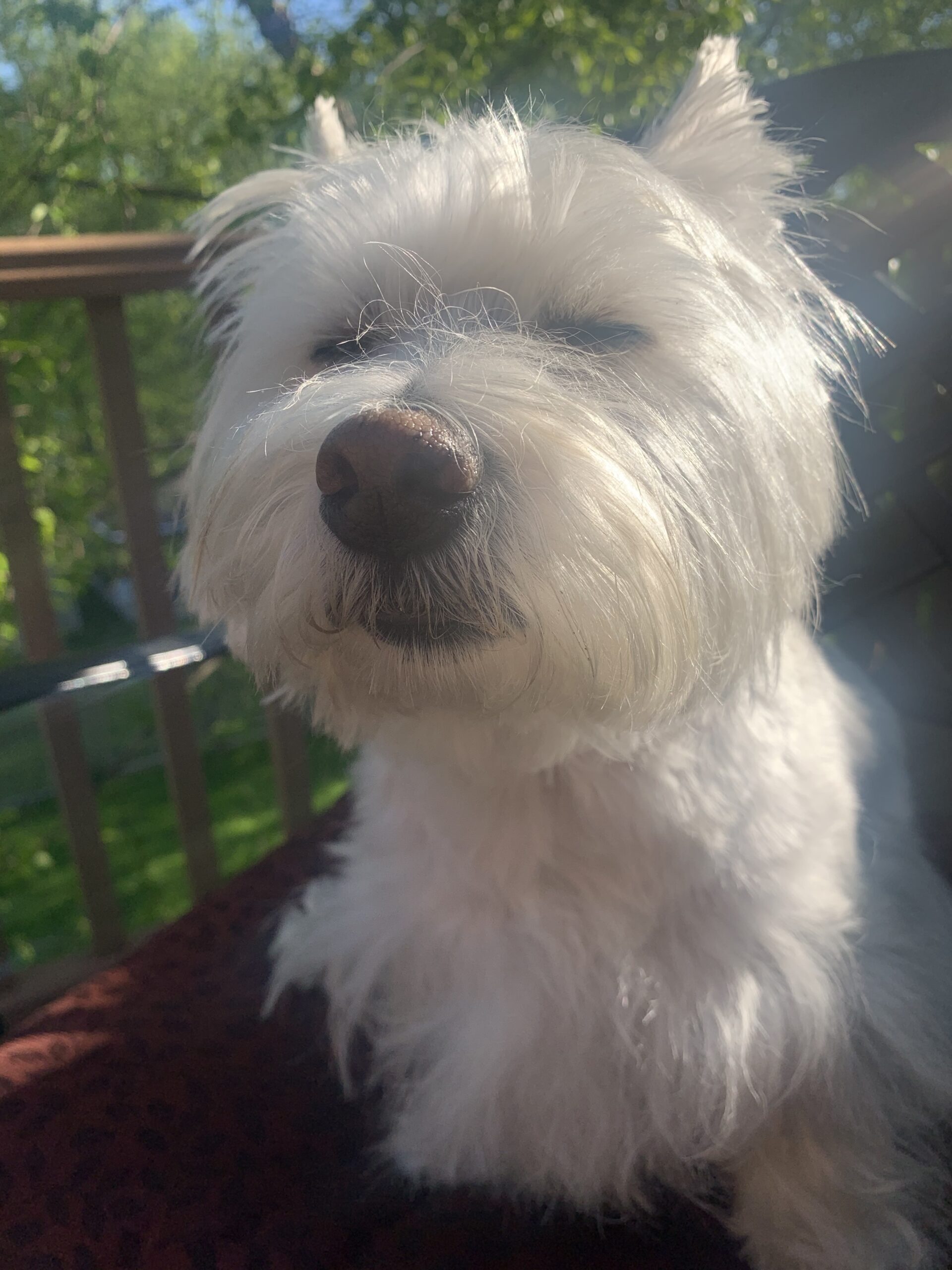 Murphy