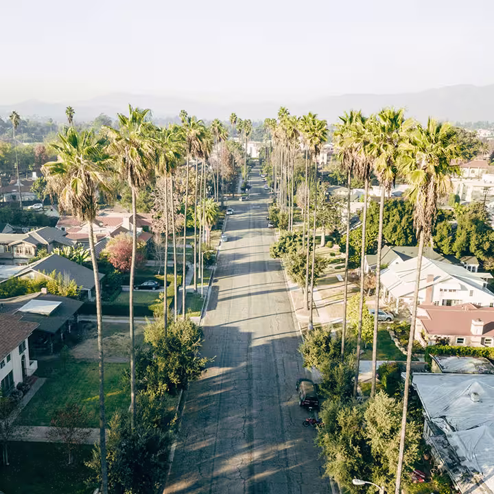 Neighborhood Guide