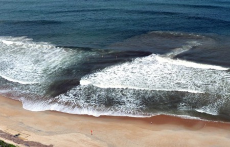 Rip Currents Rising: Stay Safe on the NC Coast This Summer