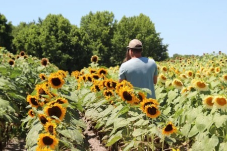 Fall Farm Fun Around Wilmington