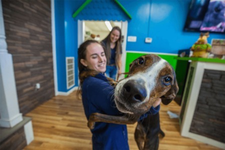 How One Wilmington Man Traded Kitchens for Kisses — and Built a Career with Hounds Town