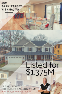 Spectacular New Home in Vienna on Park Street