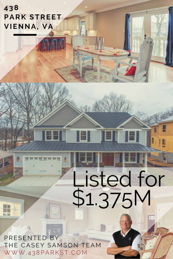 Spectacular New Home in Vienna on Park Street