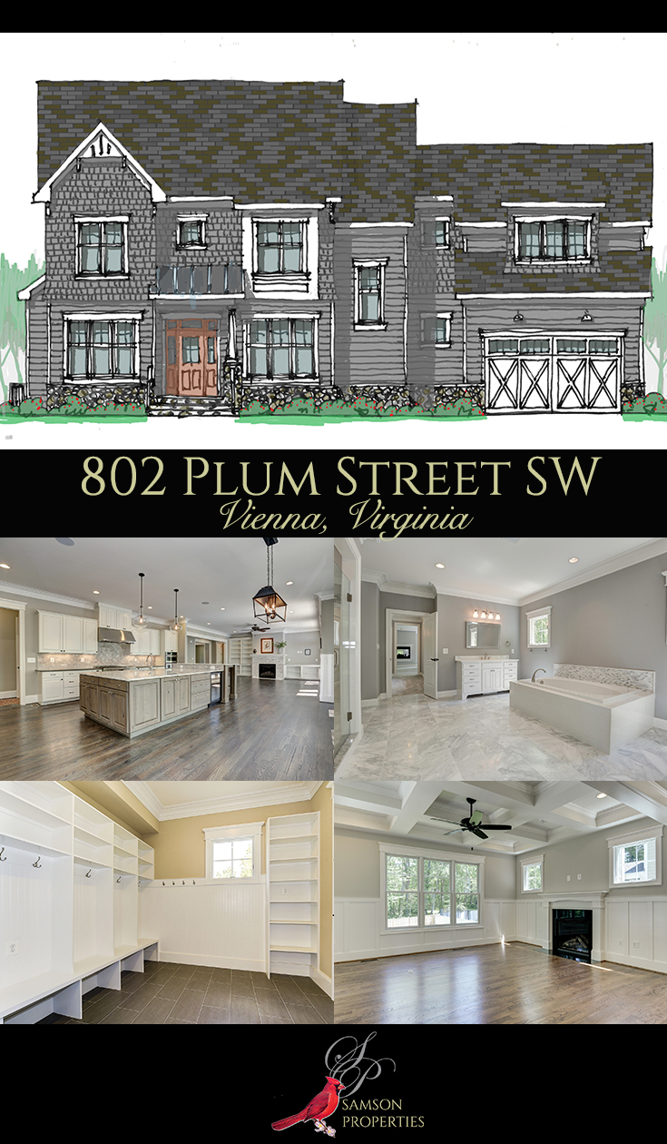 New Construction in Vienna on Plum Street