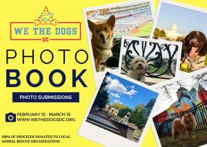 Photobook