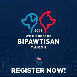 bipawtisan