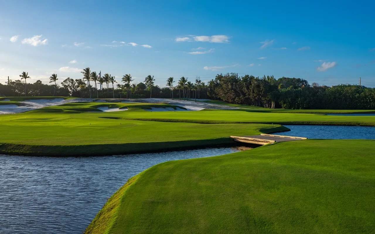 A scenic golf course featuring lush green fairways, a water hazard, and palm trees under a clear blue sky.