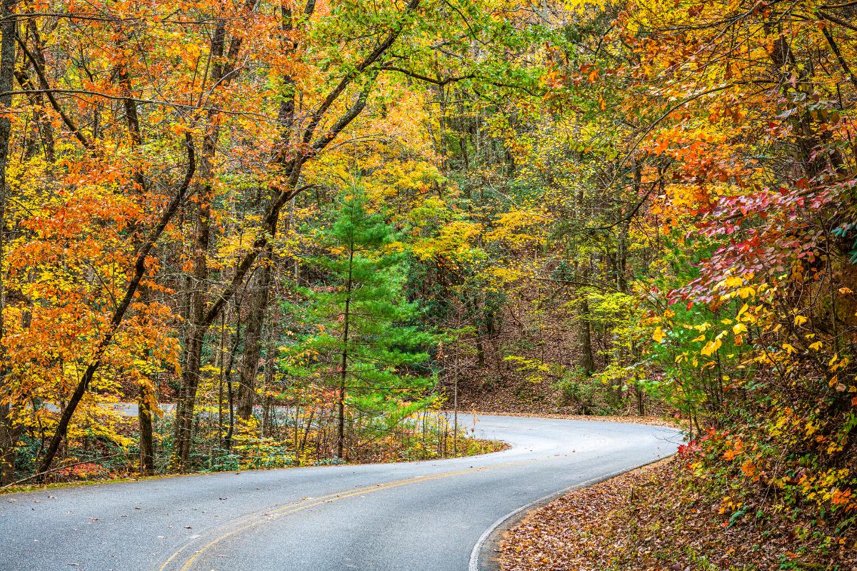 North Georgia