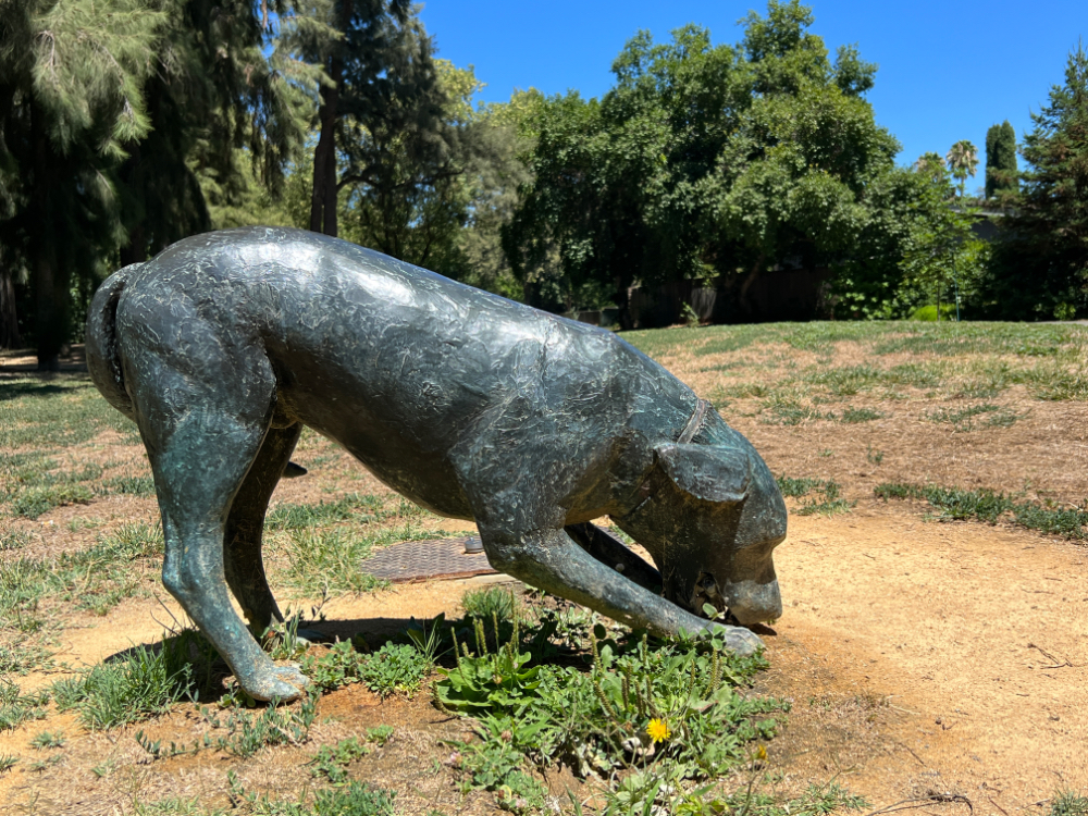 Covell Park