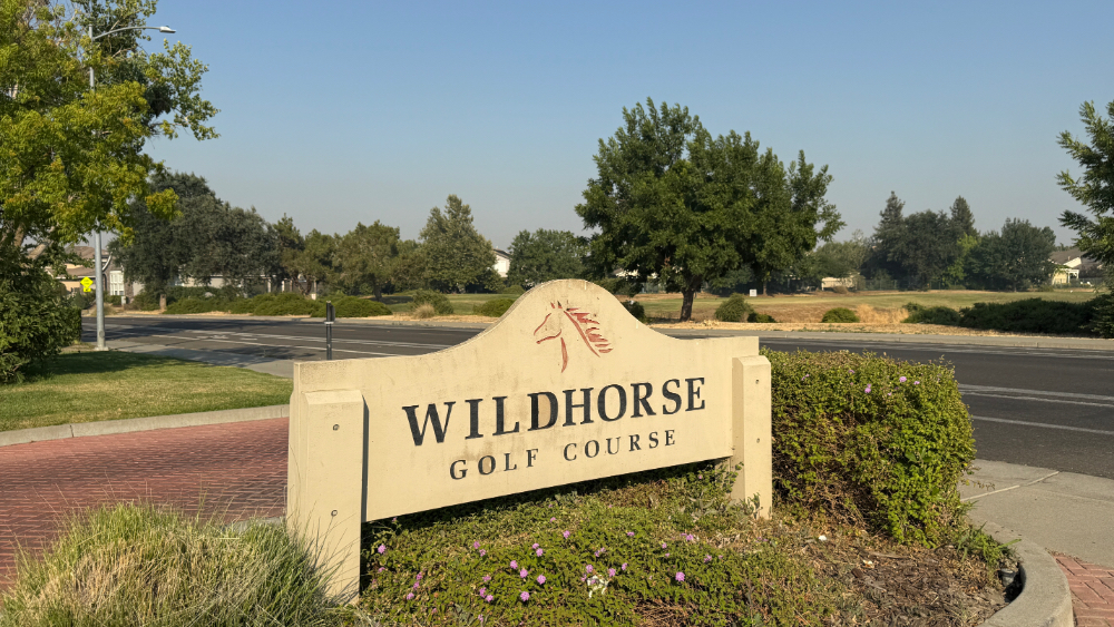 Wildhorse