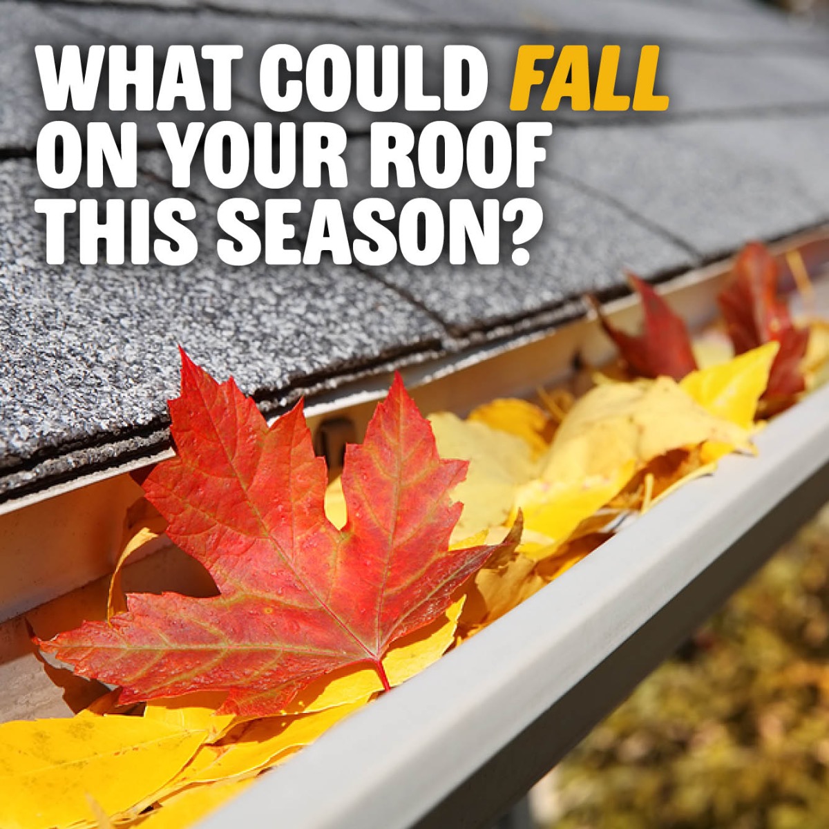 Fall Season Gutter