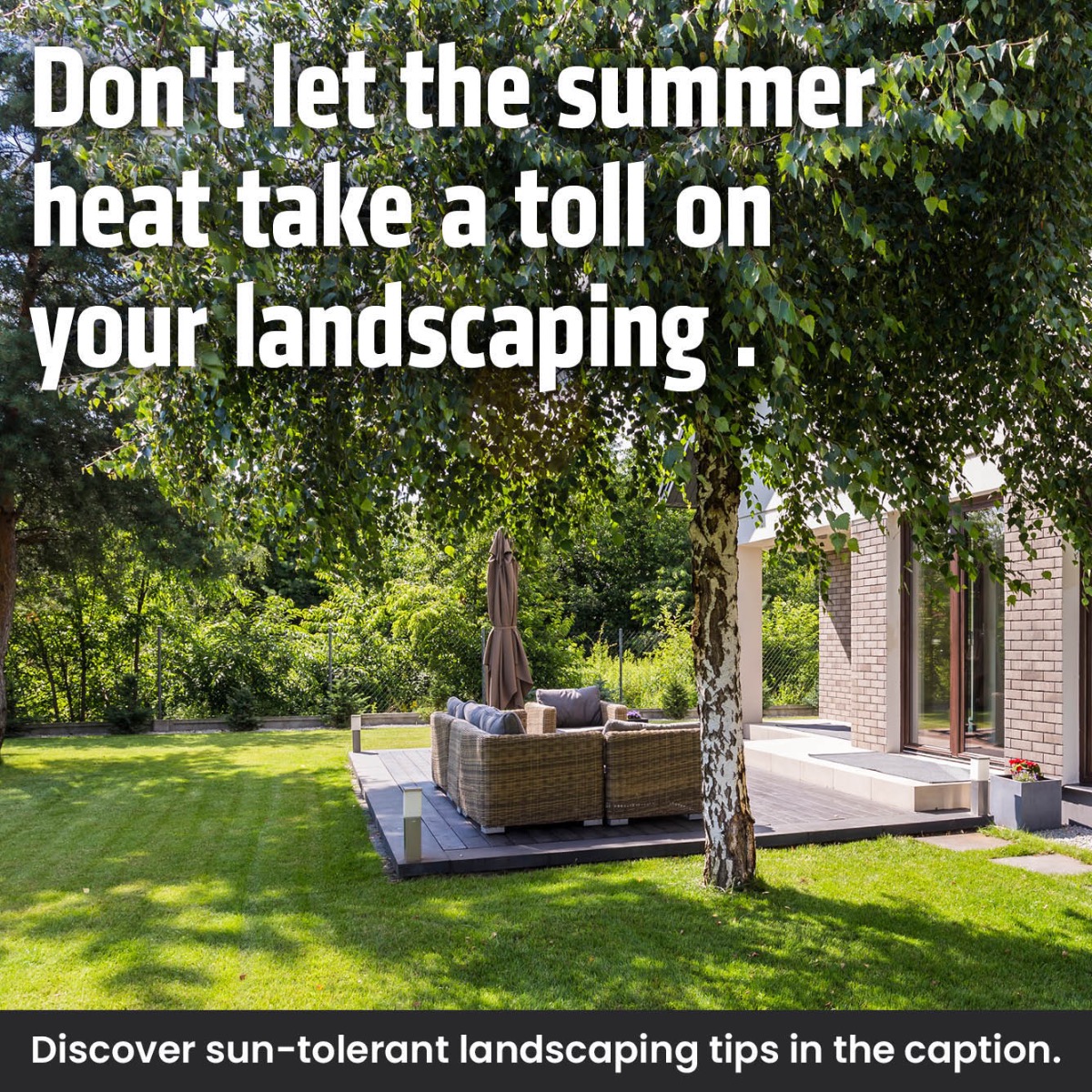 5 Landscaping Tips To Beat The Summer Heat!
