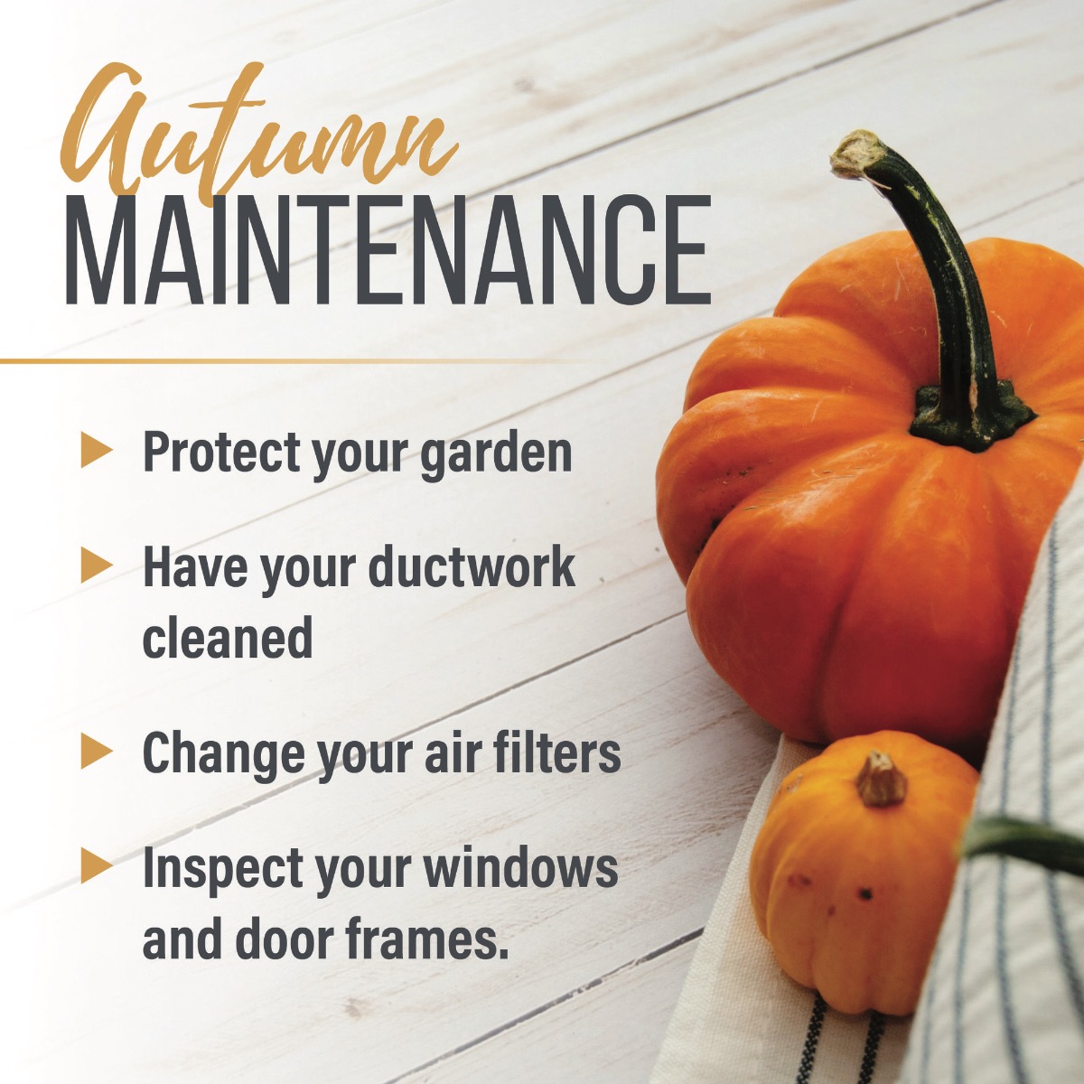 Autumn Maintenance