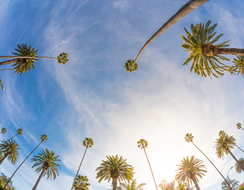 aerial panoramic view of high buildings at night