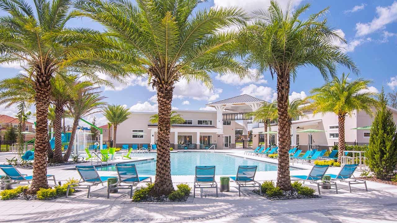 veranda palms