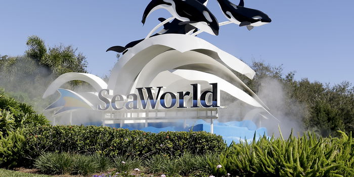 Virus Outbreak Florida Theme Parks