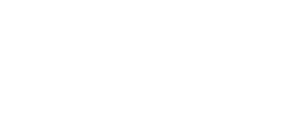 The Agency RE Belize